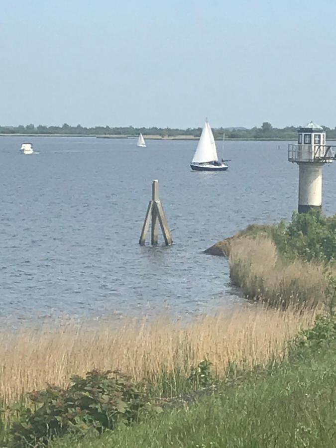De Lauwersmeer Vogel Mit Eingezaeuntem Garten Anjum Dış mekan fotoğraf